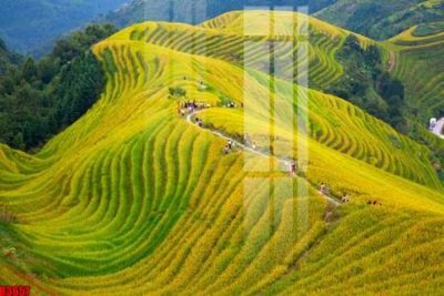 Mua file tranh gốc file tranh in treo tường file decor tổng hợp R3657 tại Filetranh.com