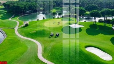 File gốc file tranh in treo tường file decor tổng hợp R3751 (ảnh rõ nét) để in