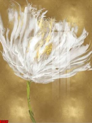 File ảnh file tranh in treo tường file decor tổng hợp R3837 (gốc) in decal dán tường