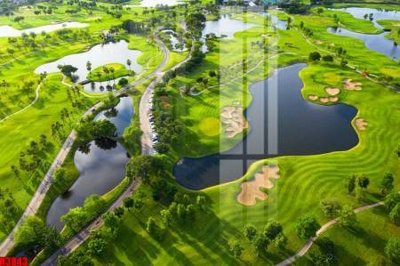 File gốc file tranh in treo tường file decor tổng hợp R3843 (thiết kế) độc quyền