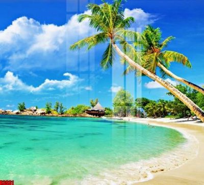 File gốc file tranh in treo tường file decor tổng hợp R3931 (PNG) trong suốt (transparent)