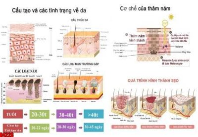 File in lụa file tranh in treo tường file decor tổng hợp R4228 (tân cổ điển) file tranh in treo tường file decor tổng hợp R4228