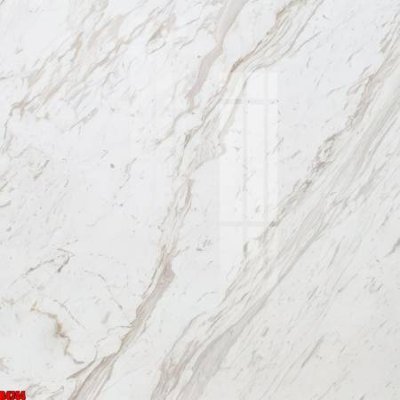 File tranh file tranh in treo tường file decor tổng hợp R4744 (gốc) chủ đề động vật