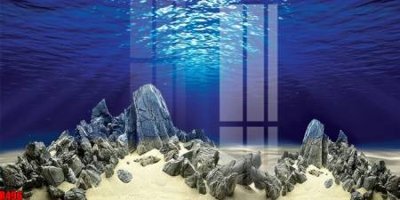 File in lụa file tranh in treo tường file decor tổng hợp R496 (hoa văn) file tranh in treo tường file decor tổng hợp R496