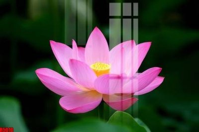 Tải file gốc file tranh in treo tường file decor tổng hợp R5010 (in khổ lớn) quảng cáo