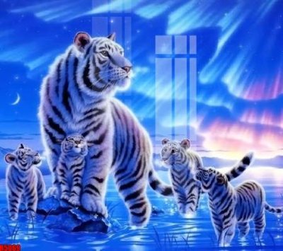 File gốc file tranh in treo tường file decor tổng hợp R5069 (in lụa) cao cấp