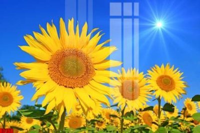 File gốc file tranh in treo tường file decor tổng hợp R5198 (in ấn) màu sắc trung thực