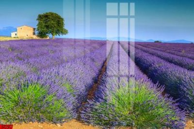 File ảnh gốc file tranh in treo tường file decor tổng hợp R5257 không vỡ nét