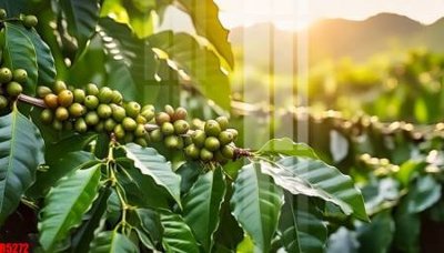 File ảnh file tranh in treo tường file decor tổng hợp R5272 (gốc) dùng in Pano