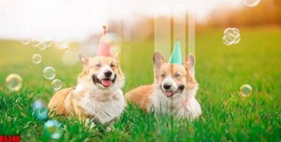 Tải file file tranh in treo tường file decor tổng hợp R5308 (gốc) chủ đề tâm linh