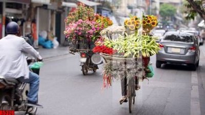 File ảnh file tranh in treo tường file decor tổng hợp R5326 (gốc) in biển hiệu