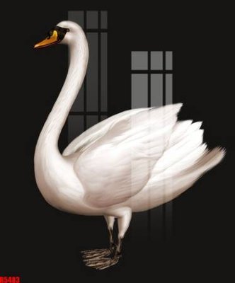 File gốc file tranh in treo tường file decor tổng hợp R5483 (trang trí) phòng trẻ em