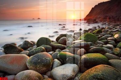 File tranh file tranh in treo tường file decor tổng hợp R5713 (ảnh gốc) sắc nét hoàn hảo