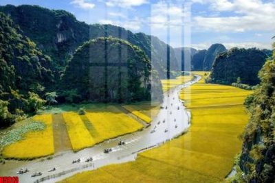 Mua file gốc file tranh in treo tường file decor tổng hợp R5813 (chất lượng) tại Filetranh.com