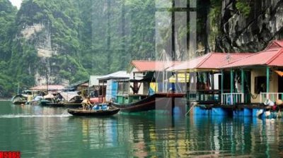 File in trần file tranh in treo tường file decor tổng hợp R5865 (bản gốc 3D) sống động