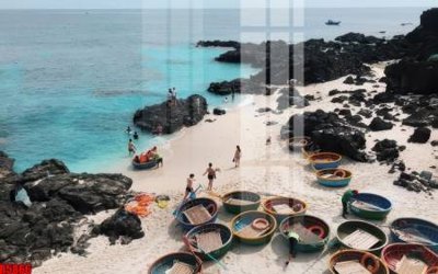 File tranh file tranh in treo tường file decor tổng hợp R5866 (gốc) chủ đề động vật