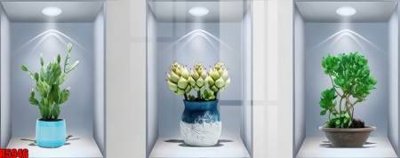 Tải file gốc file tranh in treo tường file decor tổng hợp R5946 (in tráng gương) cao cấpFile gốc file tranh in treo tường file decor tổng hợp R5946 (in ấn) phiên bản độc quyền