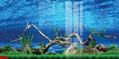 Download file file tranh in treo tường file decor tổng hợp R5979 (gốc) in mica ốp bếp