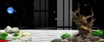 File tranh trang trí file tranh in treo tường file decor tổng hợp R5982 (file gốc)