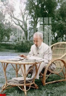 File in trần file tranh in treo tường file decor tổng hợp R6157 (file gốc) hoa văn 3D