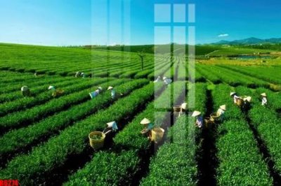 File tranh in tráng gương file tranh in treo tường file decor tổng hợp R6274 (siêu nét)