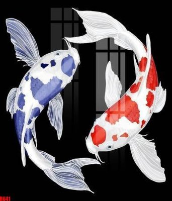 File gốc file tranh in treo tường file decor tổng hợp R641 (PNG) chất lượng cao