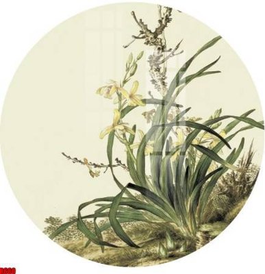 File in ấn cao cấp file tranh in treo tường file decor tổng hợp R660 (file gốc)