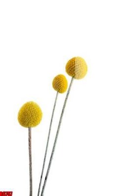 File gốc file tranh in treo tường file decor tổng hợp R6757 (bản quyền) cho in ấn