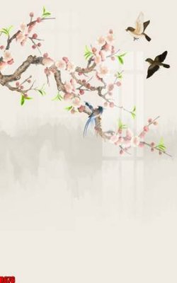 File in trần file tranh in treo tường file decor tổng hợp R676 (bản gốc) trời sao