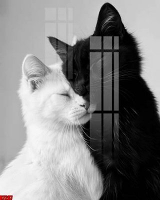 File in trần file tranh in treo tường file decor tổng hợp R7287 (file gốc) phong thủy