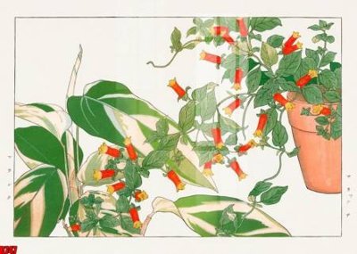 Tải file gốc in lụa file tranh in treo tường file decor tổng hợp R747 siêu nét