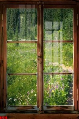 File in trần file tranh in treo tường file decor tổng hợp R7718 (file gốc) xuyên sáng