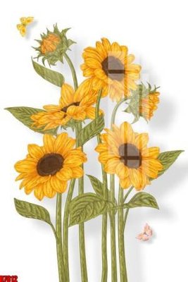 File gốc file tranh in treo tường file decor tổng hợp R7812 (in lụa) hoa văn cổ điển