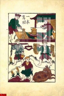 Tải file file tranh in treo tường file decor tổng hợp R7885 (gốc) làm file tranh quảng cáo