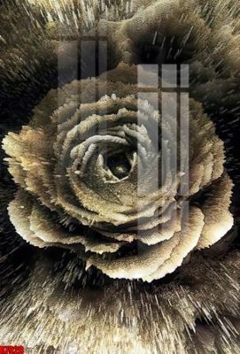 Download file gốc file tranh in treo tường file decor tổng hợp R7928 (in lụa) hoa lá