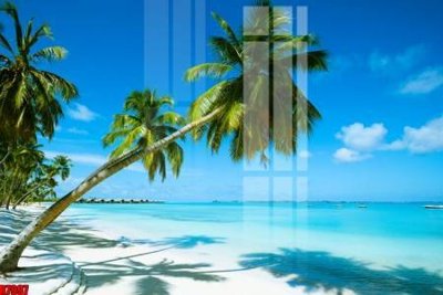 File ảnh gốc file tranh in treo tường file decor tổng hợp R7997 không vỡ nét