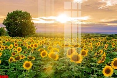 Download file file tranh in treo tường file decor tổng hợp R8005 (gốc) cho xưởng in