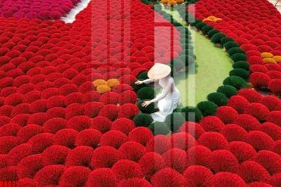 Download file file tranh in treo tường file decor tổng hợp R8029 (gốc) cho xưởng in