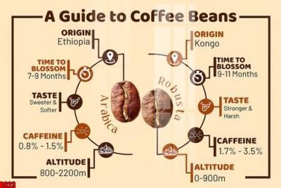 File gốc file tranh in treo tường file decor tổng hợp R823 (in tráng gương) sang trọng