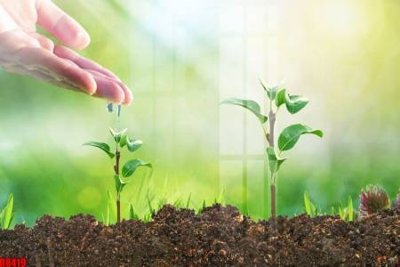 File tranh PSD file tranh in treo tường file decor tổng hợp R8419 chất lượng cao