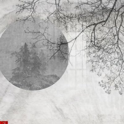 File in lụa file tranh in treo tường file decor tổng hợp R8715 (hoa văn) file tranh in treo tường file decor tổng hợp R8715