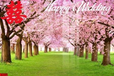 File tranh trang trí file tranh in treo tường file decor tổng hợp R9051 (file gốc)