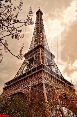 File gốc file tranh in treo tường file decor tổng hợp R9095 (dành cho trang trí nội thất)