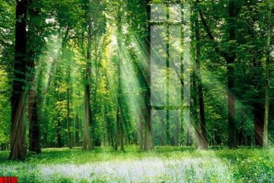 File gốc file tranh in treo tường file decor tổng hợp R9110 (AI/EPS) cho in ấn