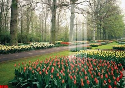 File gốc file tranh in treo tường file decor tổng hợp R9115 (in lụa) cao cấp