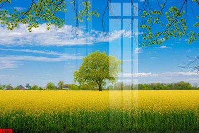 File tranh file tranh in treo tường file decor tổng hợp R9116 (gốc) chủ đề thiên nhiên