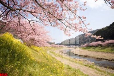 File gốc file tranh in treo tường file decor tổng hợp R9122 (Filetranh.com) file tranh in treo tường file decor tổng hợp R9122