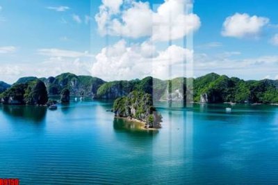 File in trần file tranh in treo tường file decor tổng hợp R9150 (bản gốc) hoa văn