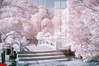 File in trần file tranh in treo tường file decor tổng hợp R9155 (file gốc) xuyên sáng