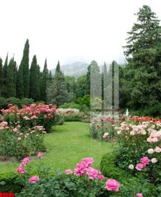 File tranh file tranh in treo tường file decor tổng hợp R9595 (gốc) chủ đề con người